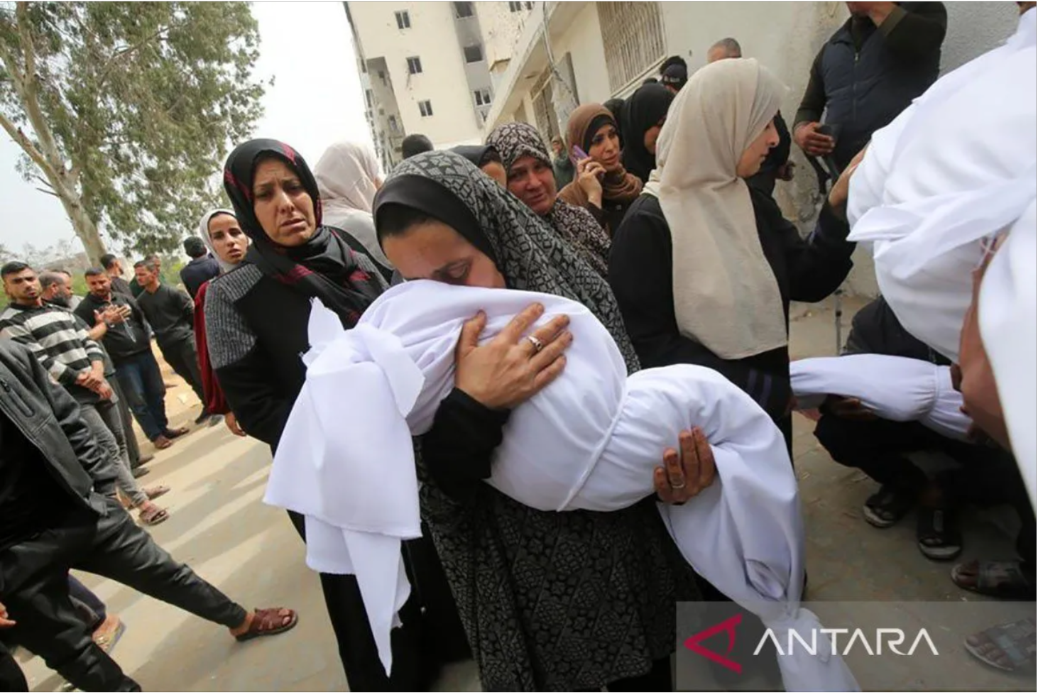 Israel bunuh 11 anak dalam 48 jam, termasuk 9 anak dokter Gaza